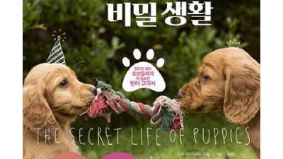 🐶 멍냥 행복 UP! 강아지마음알기 꿀팁 & 솔직 후기 대방출! ✨
